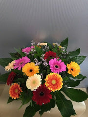 Gerbera Boeket